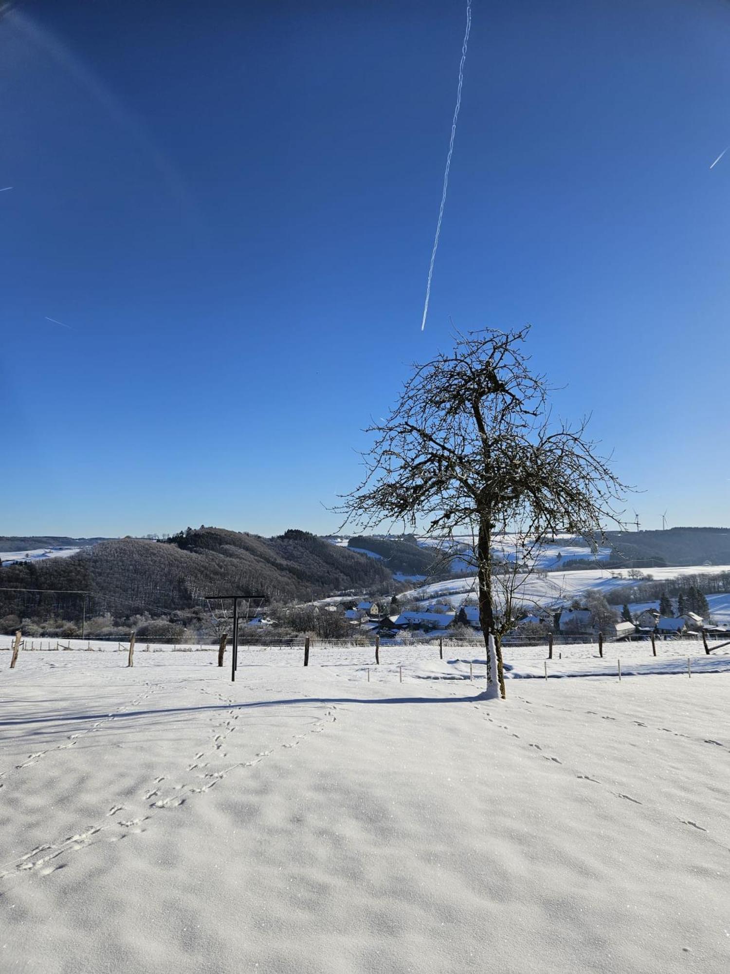 Ferienhaus Hescheld With Private Jacuzzi Hellenthal Bagian luar foto